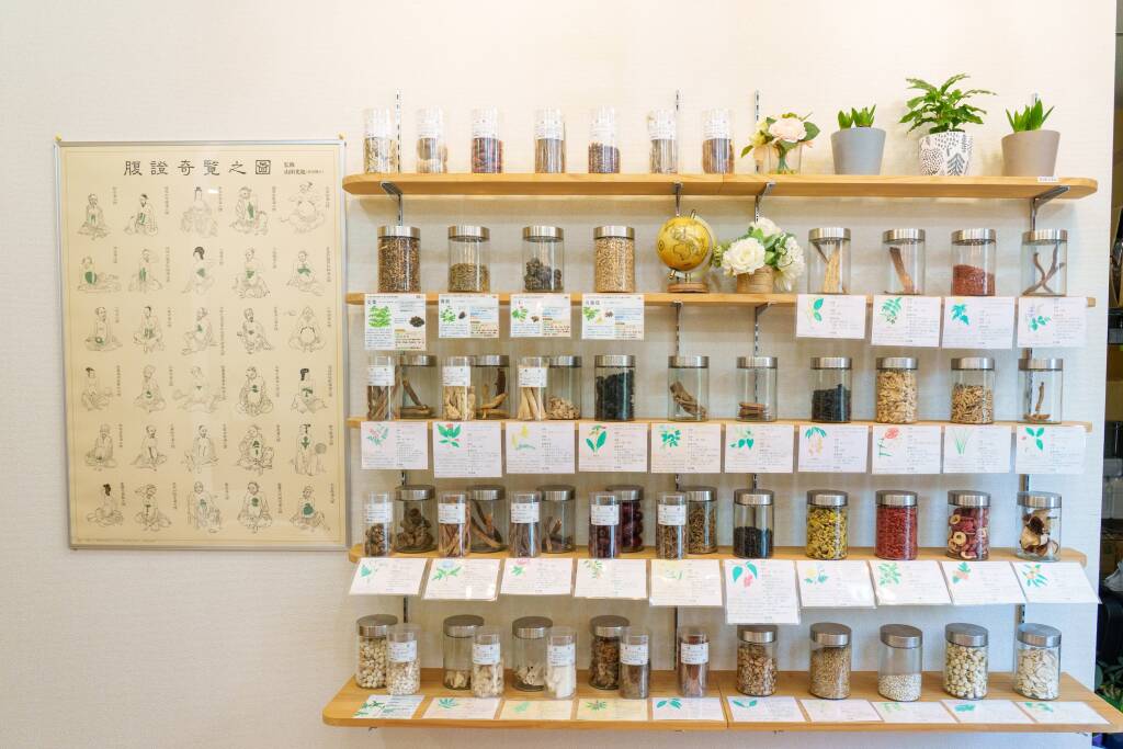 漢方薬の原料生薬（見本）を40~50種類ご紹介