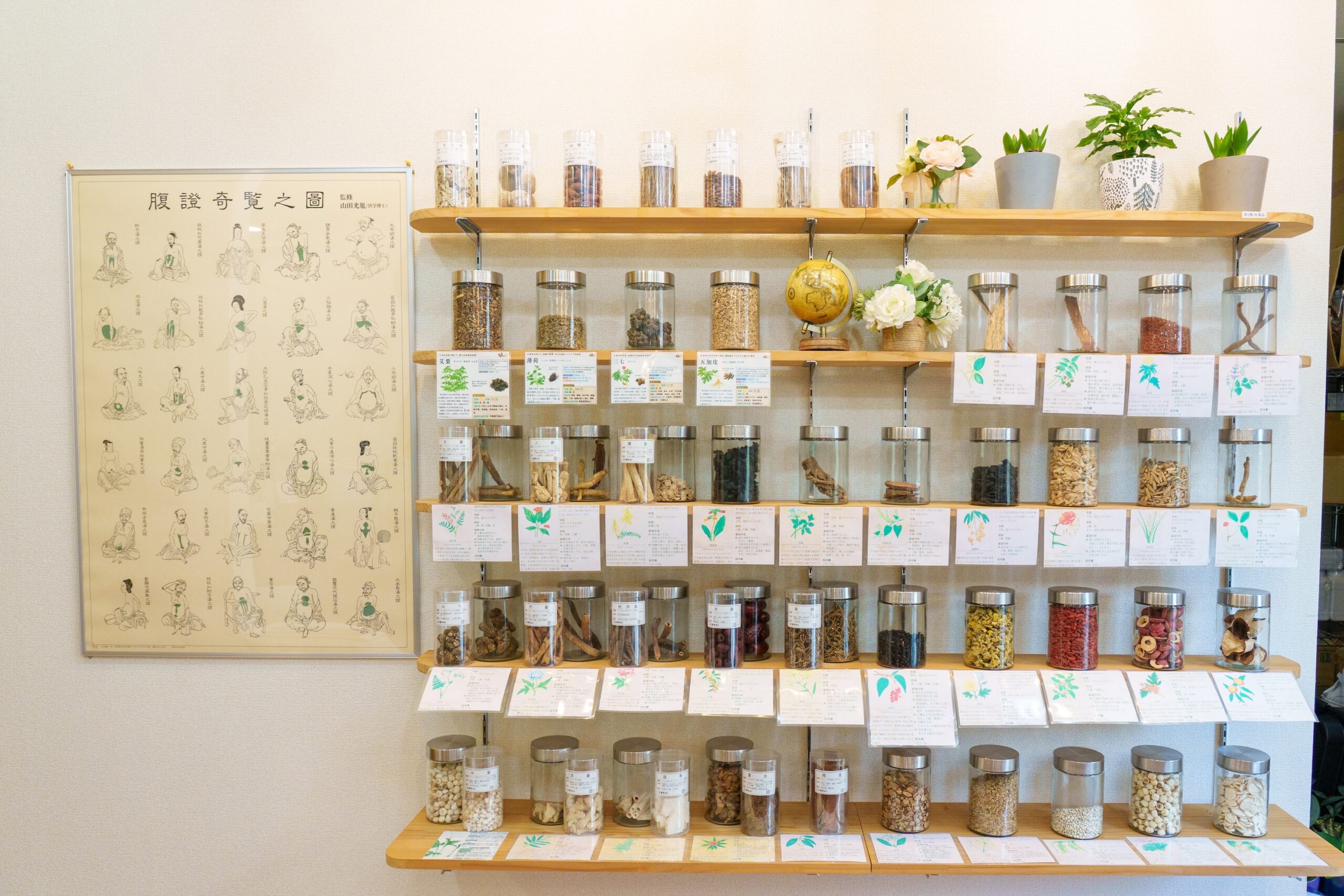 漢方薬の原料生薬（見本）を40~50種類ご紹介