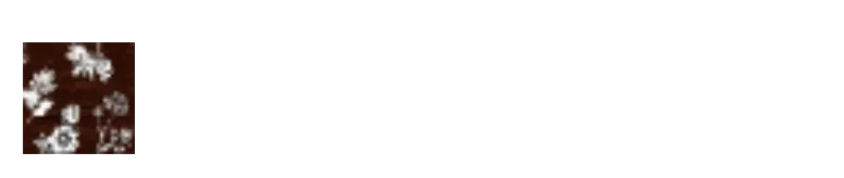 漢方専門なりた安心堂薬局ホームページのフッター用の白ロゴ