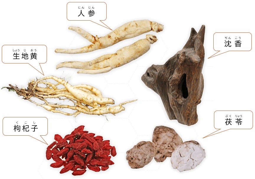 漢方専門なりた安心堂薬局が扱う瓊玉膏の構成生薬( 生地黄 人参 茯苓 沈香 枸杞子 )の画像
